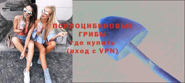 jwh Богородск
