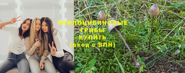 jwh Богородск