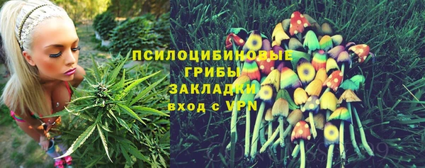 кокаин премиум Богданович