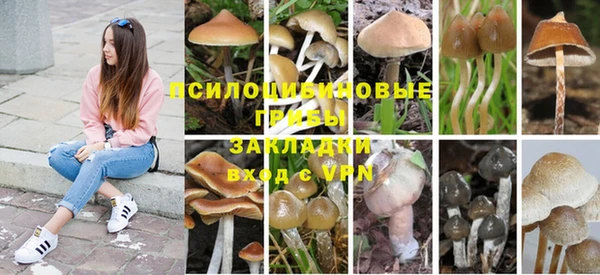 крисы Белокуриха