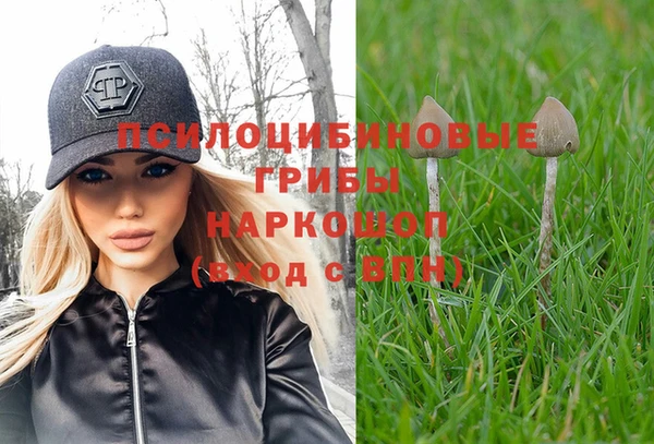 jwh Богородск