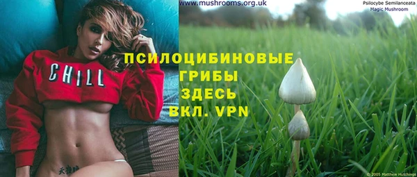 кокаин премиум Богданович