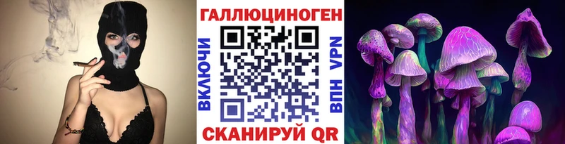 магазин продажи   Ува  Псилоцибиновые грибы Psilocybine cubensis 